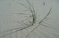 vorsorge-1